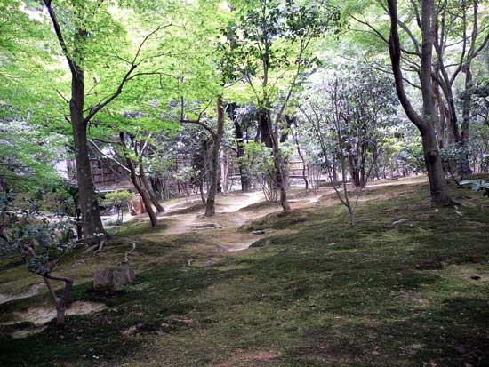 銀閣寺の中の庭風景
