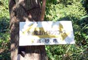 全山縦走ハイキングコース(日笠山)