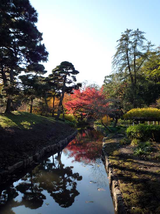 小石川後楽園の紅葉