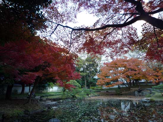 小石川後楽園の紅葉