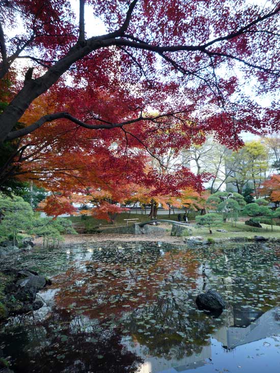 小石川後楽園の紅葉