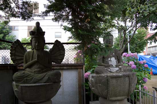駒込大観音
