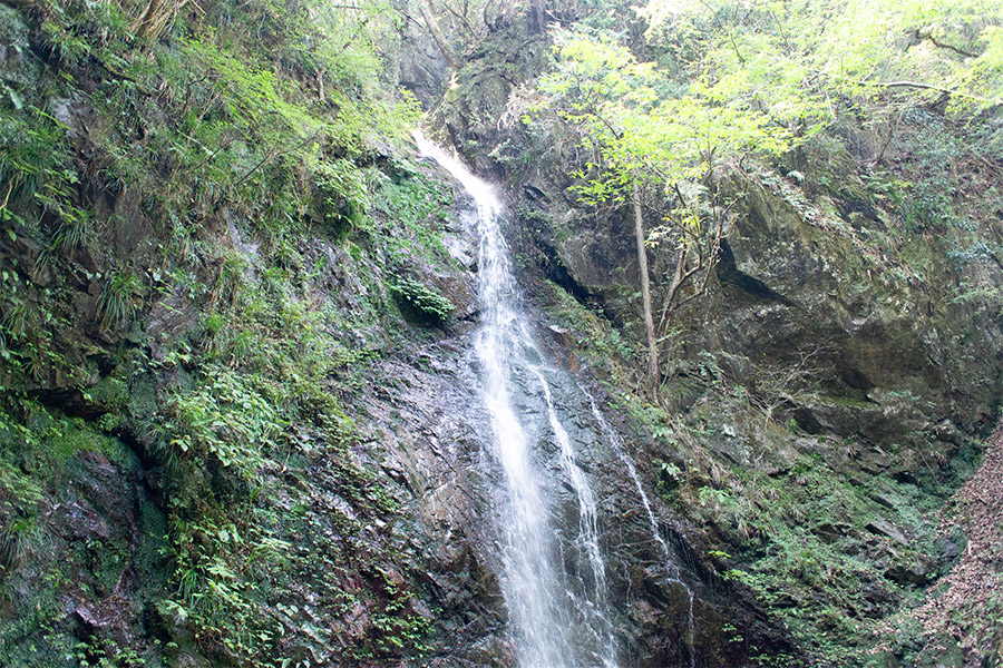 払沢の滝（近景）