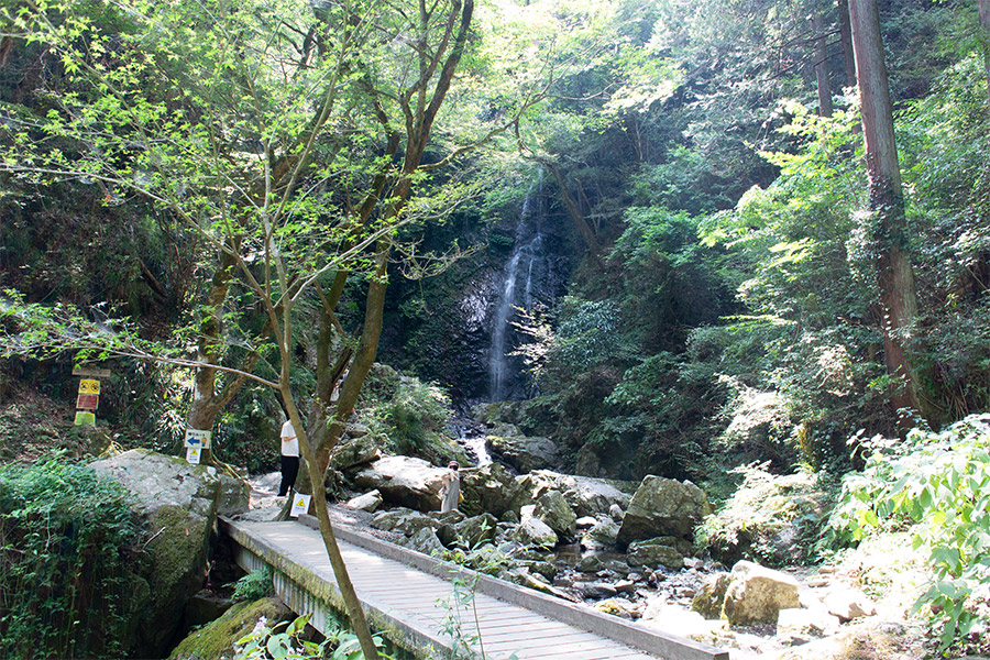 遠目に見える払沢の滝