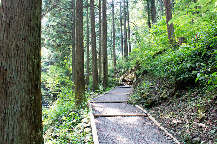 払沢の滝へ向かう遊歩道