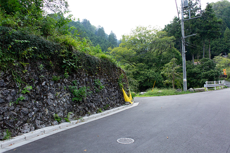 遊歩道に入ってすぐの緑陰