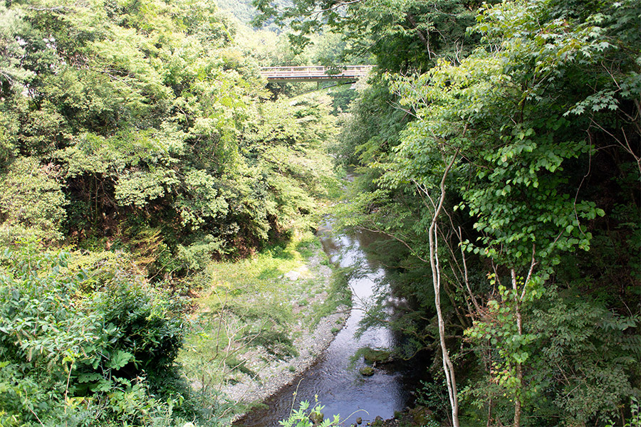 バス停から眺める山の稜線