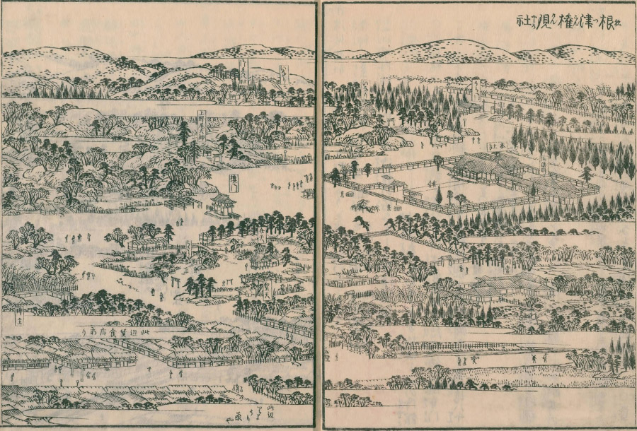 江戸名所図会で見る根津神社（根津権現社）