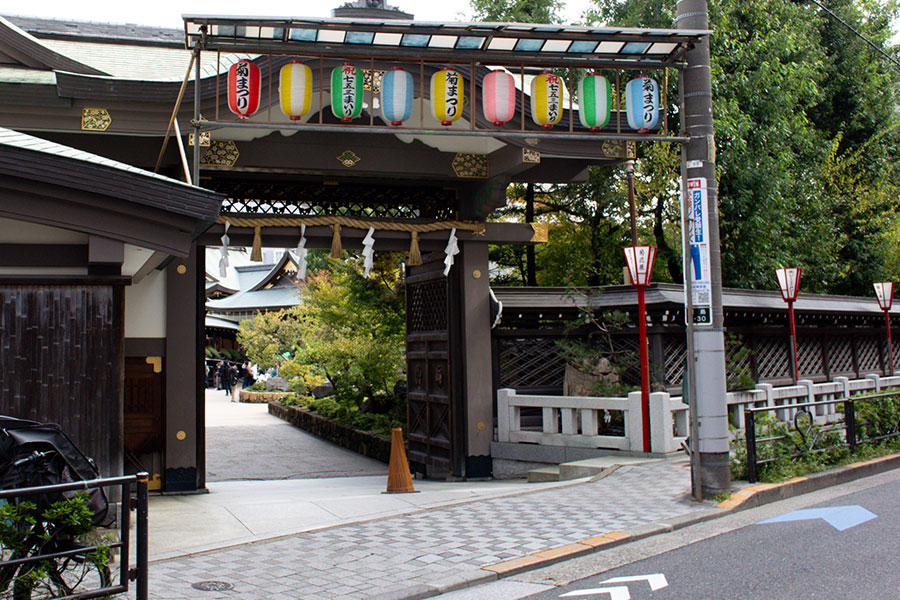 湯島天神菊まつり2025