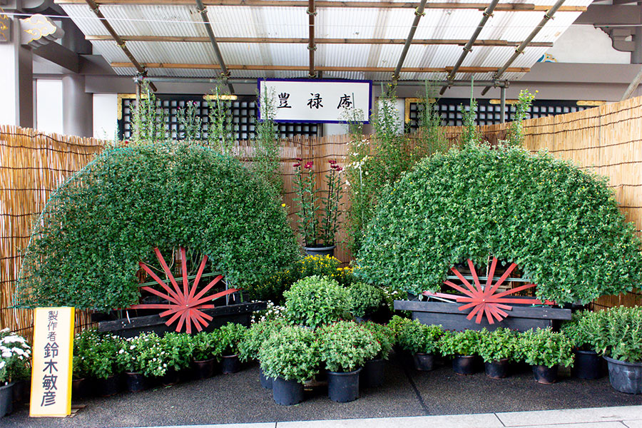 湯島天神菊まつり2025