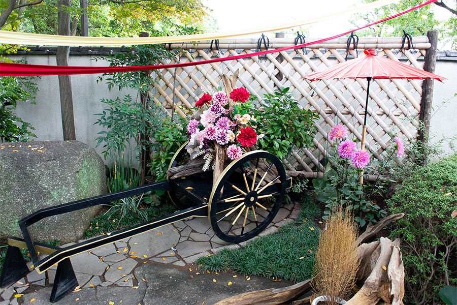 上野東照宮ぼたん園『ダリア綾なす秋の園』