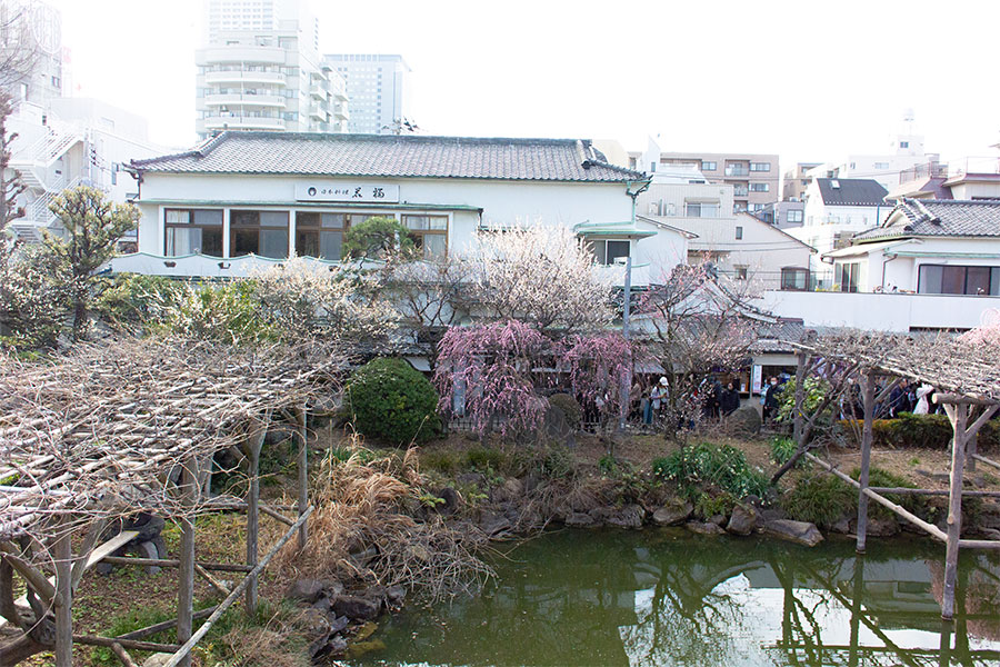 亀戸天神 梅まつり 太鼓橋からの景色