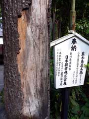 野宮神社の門その2