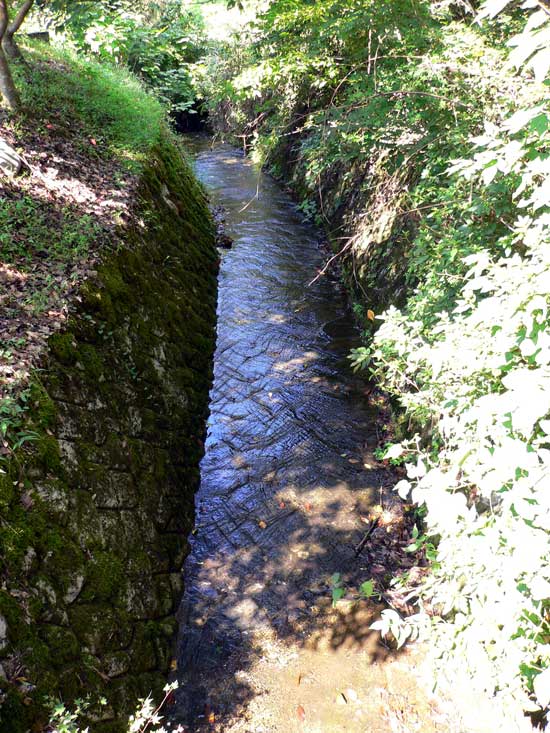 あさご芸術の森 水路