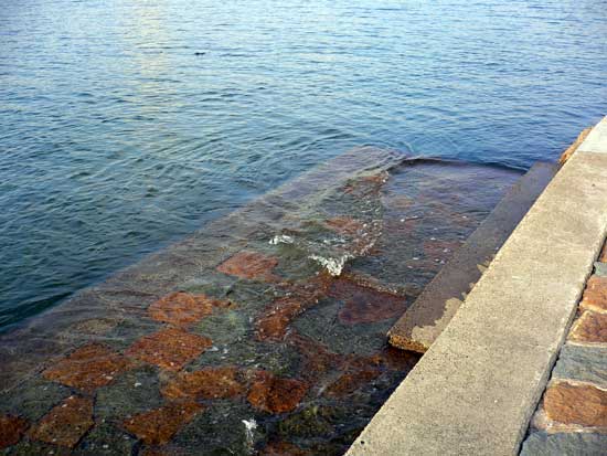 県立高砂海浜公園 海に触れます