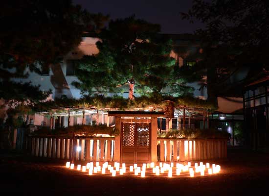 たかさご万灯祭2007 5代目相生の松のライトアップ