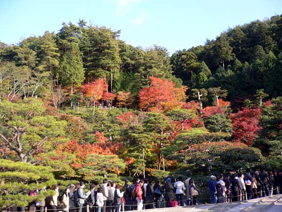 紅葉を見に来る人の量