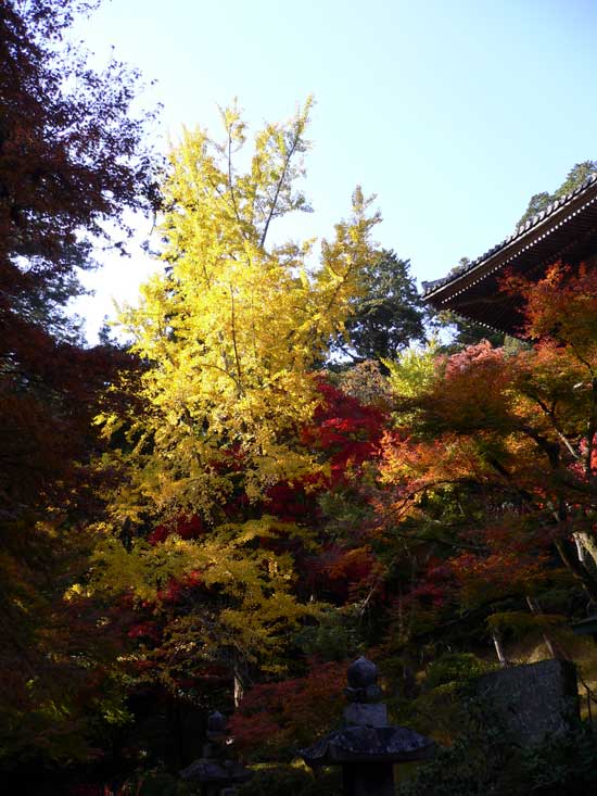 書写山圓教寺内の紅葉