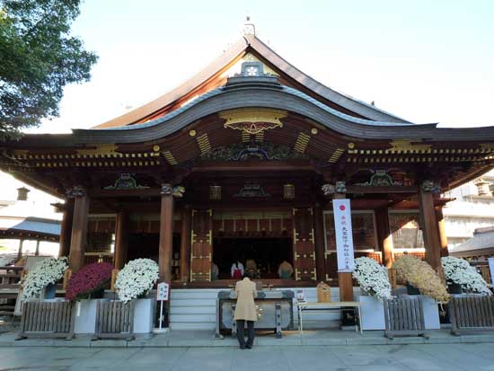 第30回 文京菊まつり