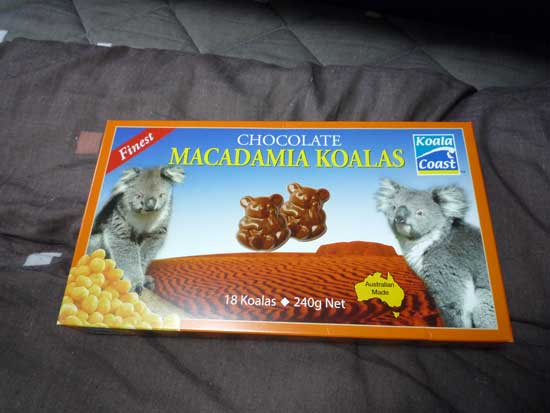 CHOCOLATE MACADAMIA KOALAS