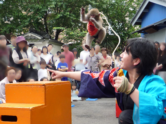 文京あじさいまつり