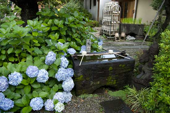 大聖山 南谷寺 目赤不動尊