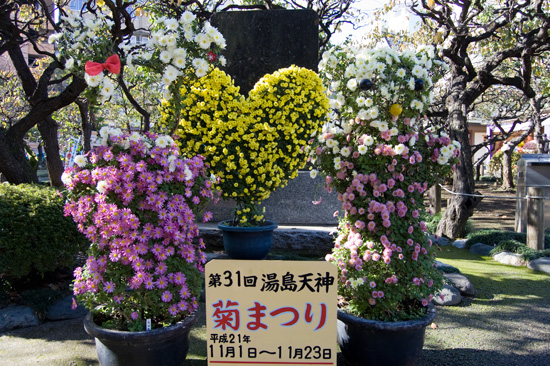 第31回 文京菊まつり