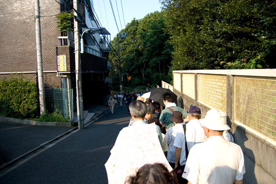 小石川植物園で咲いた世界一大きな花「ショクダイオオコンニャク」