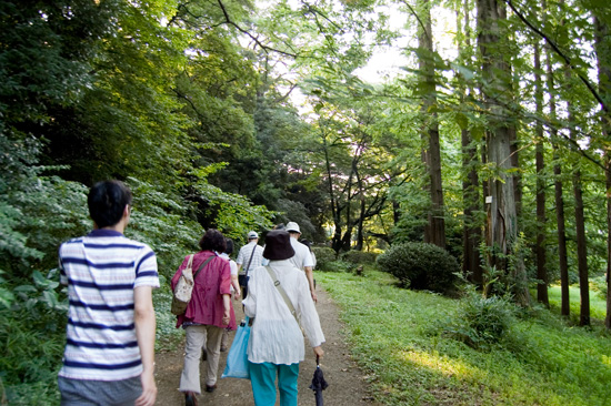 小石川植物園で咲いた世界一大きな花「ショクダイオオコンニャク」