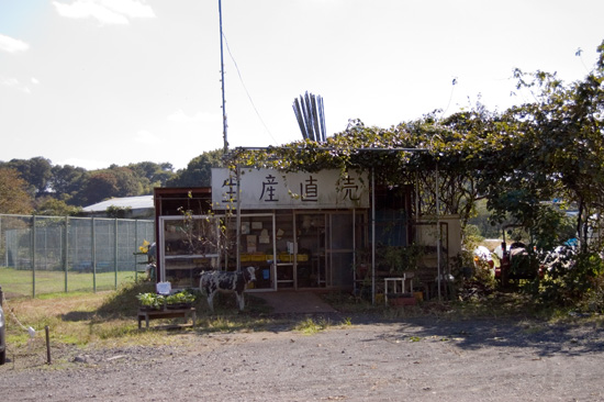 生産直売