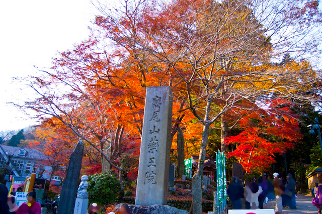 高尾山