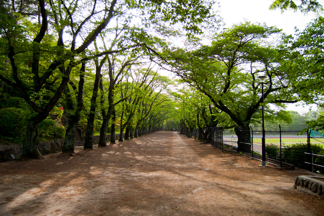 富士森公園