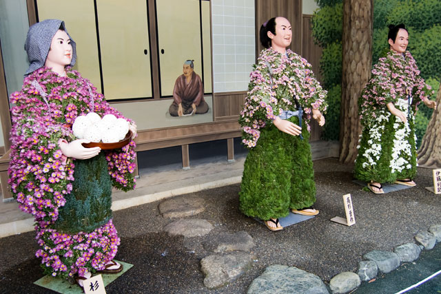 イベント 第37回 湯島天神菊まつり 文京菊まつり 東京都文京区湯島 ぞえぞえねっと