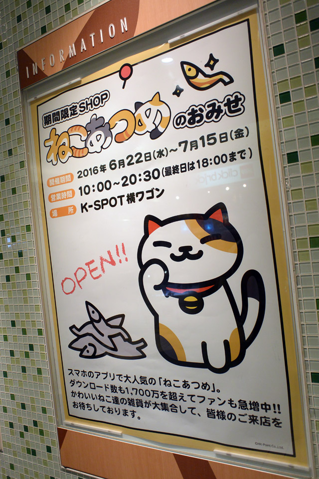 ねこあつめのおみせ 東京駅期間限定shop 16年6月22日 7月15日 K Spot横ワゴン ぞえぞえねっと