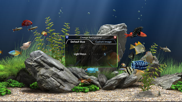 パソコンの画面を水槽に 泳ぐ熱帯魚など選べる Dream Aquarium Screensaver ドリームアクアリウムスクリーンセイバー Windos Mac Os対応 ぞえぞえねっと