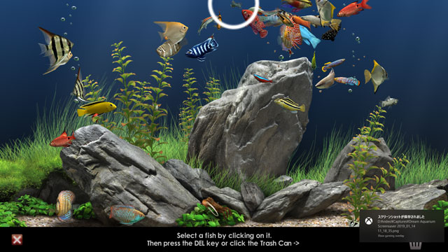 パソコンの画面を水槽に 泳ぐ熱帯魚など選べる Dream Aquarium Screensaver ドリームアクアリウムスクリーンセイバー Windos Mac Os対応 ぞえぞえねっと
